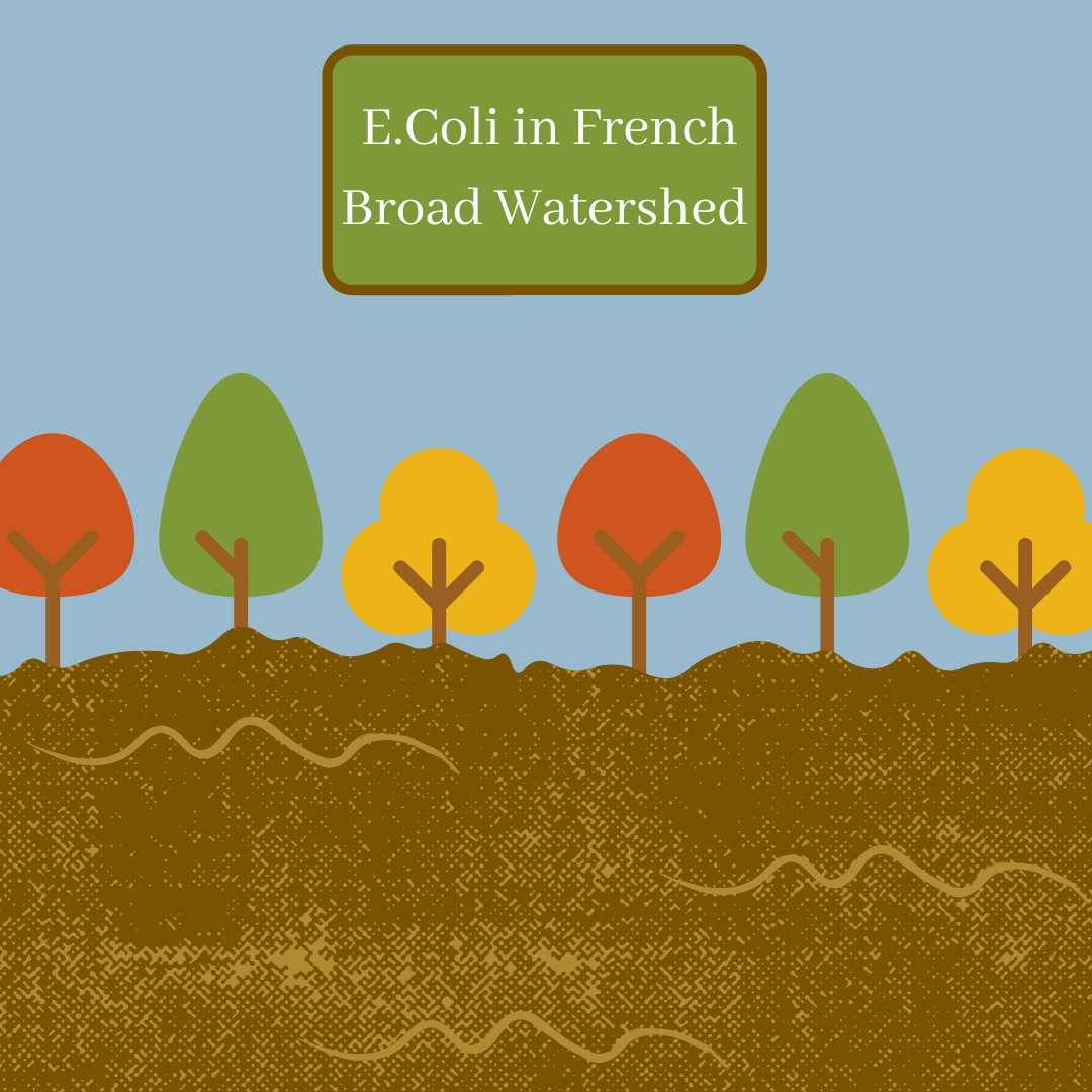 E. coli levels continue to rise across French Broad Watershed - The Blue Banner