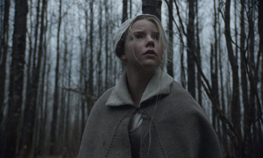 Eggars The Witch offers emotional horror with genuine scares
