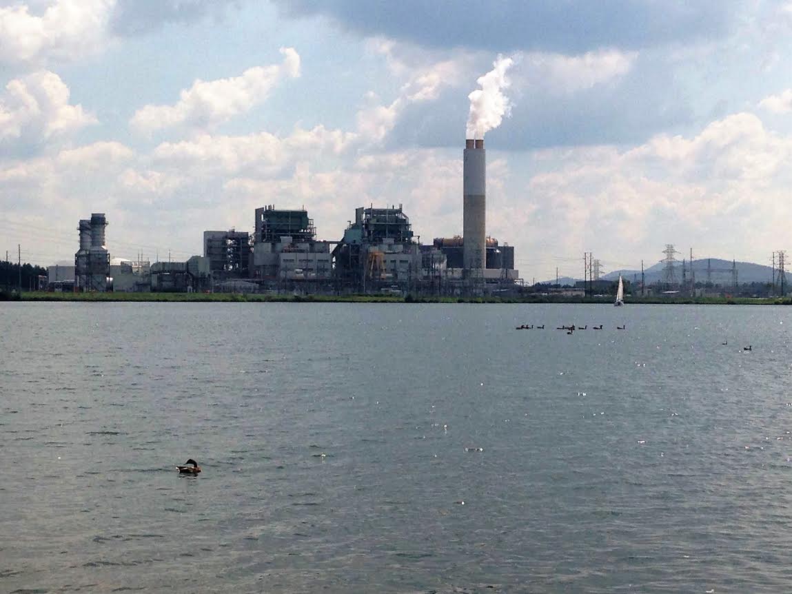 Lake Julian power plant is expected to convert from coal to natural gas by the year 2020.  Photo by Megan Suggs.