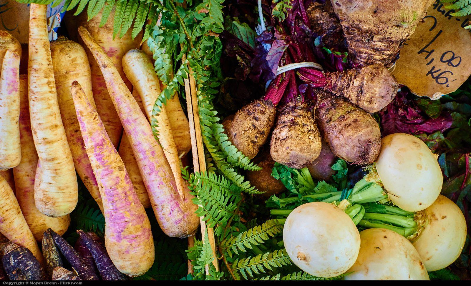 what is a root based diet