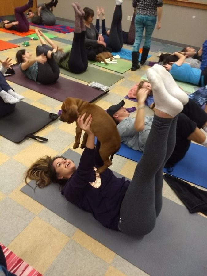 Pilates with Puppies combines exercise with cuddles