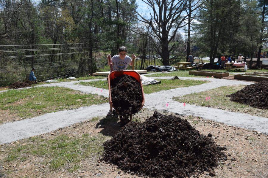 Senior Andrea Genna moves wheelbarrow of mulch to be used for the Friendship Garden/Jardin de la Amistad at St. Eugene Catholic Church. Photo by Megan Suggs 