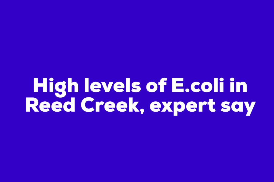 High Levels of E. coli in Reed Creek, experts say