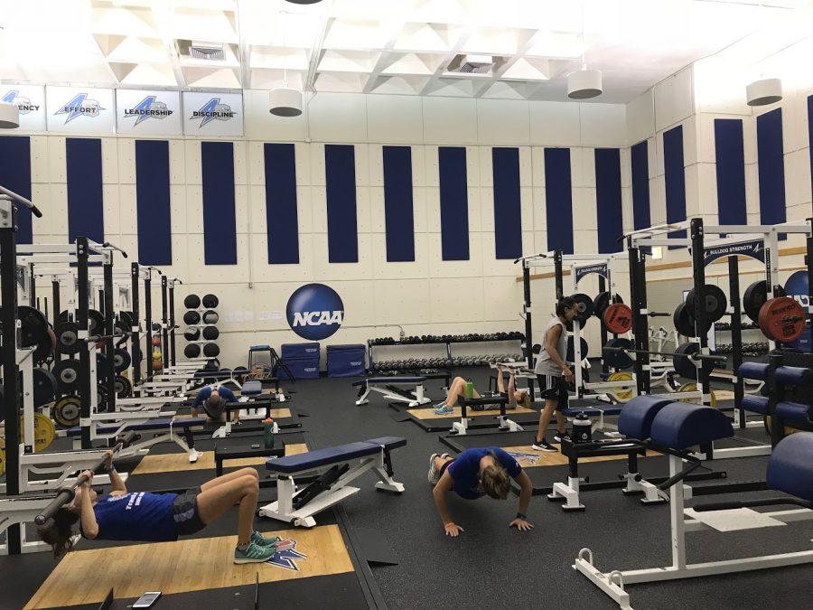 UNC Asheville student athletes train using various techniques and equipment.