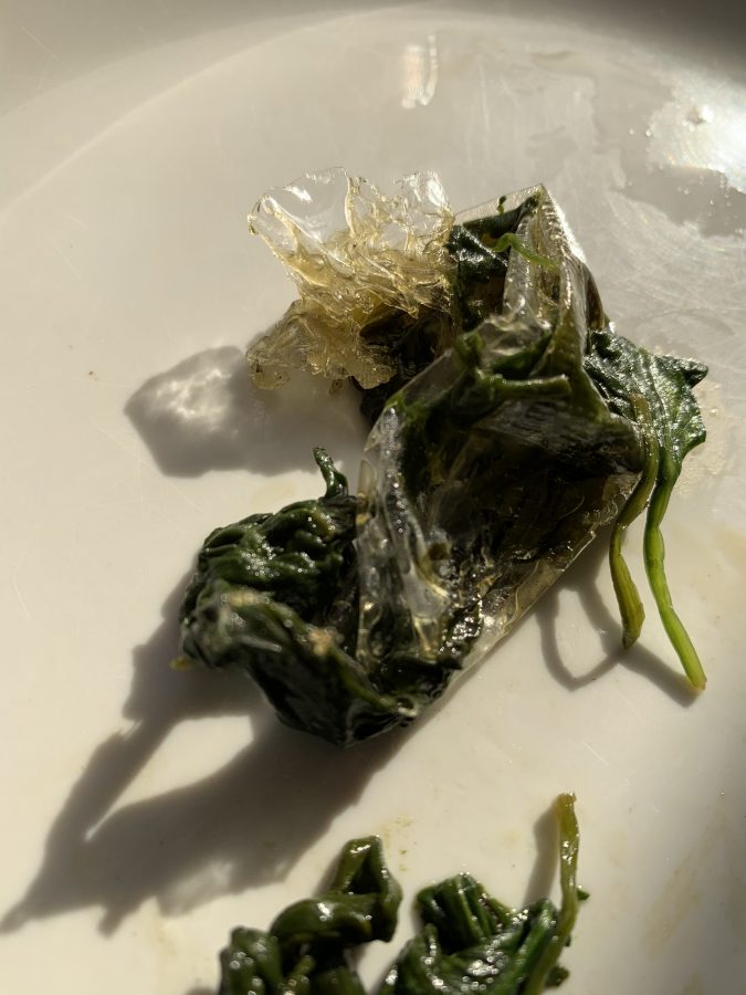 Picture taken by Keithon Turner of plastic allegedly found in food, used with permission