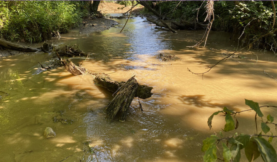 Photo provided by MounainTrue website
The French Broad River suffers from pollution due to sewage and trash runoff. 