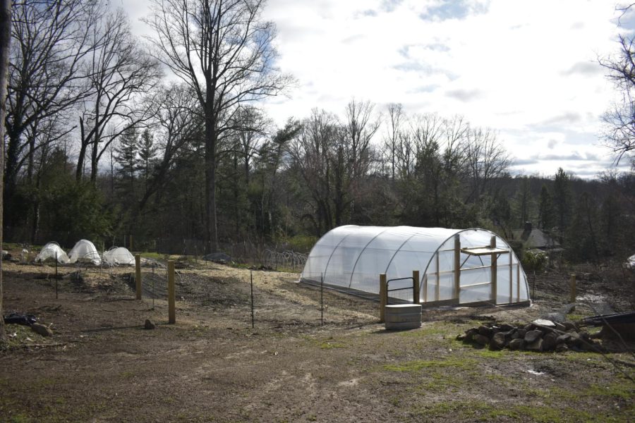 Roots Garden is currently undergoing construction (fencing, wooden beds) in preparation for the spring.
