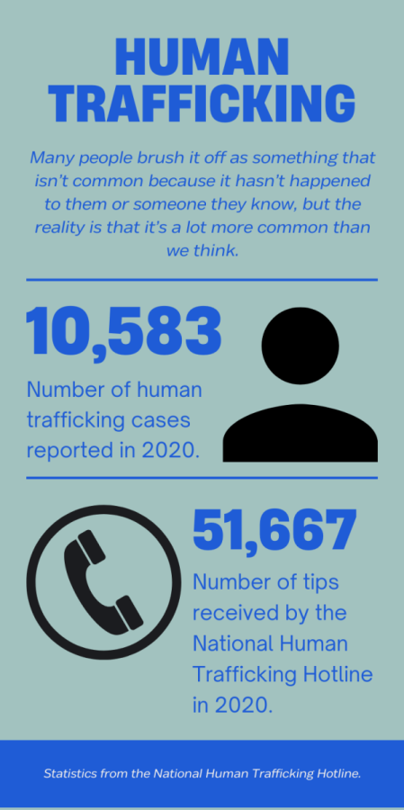 Statistics from the National Human Trafficking Hotline provide insight on reports and tips made each year.