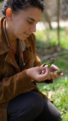 Elaina Busch examines purple nettle from her garden.

