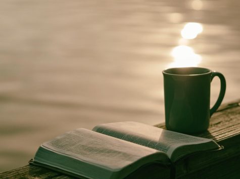 Was I reading or was I dreaming? After a whole page of reading, my consciousness left me and I fell asleep. - Jake Wilson