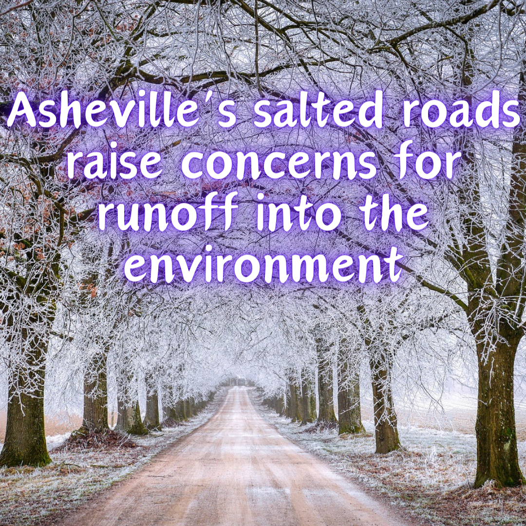 Asheville’s salted roads raise concerns for runoff into the environment