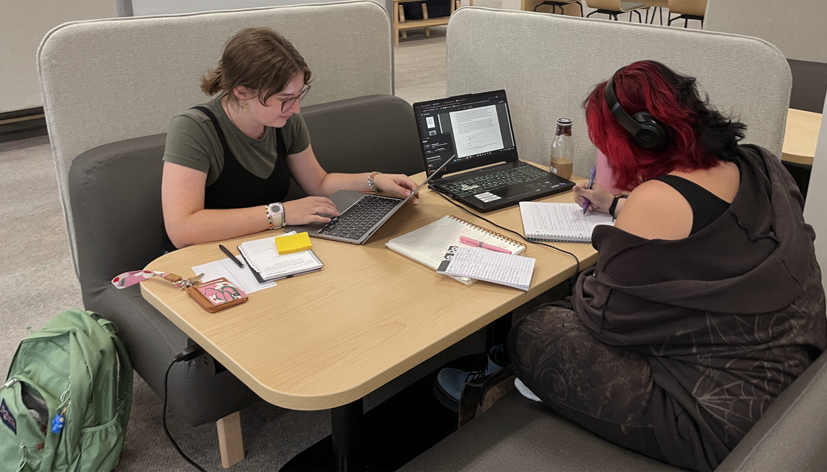 ﻿Holland Rinaldi and Ellie Toth study in the Ramsey Library at UNCA.