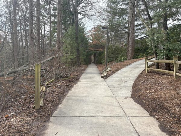 Walking path to the Ridges residence halls