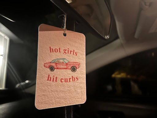 An air freshener hangs in Elvira Shevchenko's car and is one of the many products to be sold with the “hot girls hit curbs” phrase.
