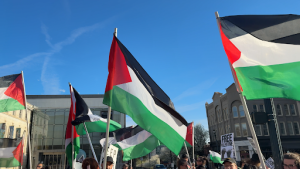 Pro-Palestine protestors wave the Palestinian flag in downtown Asheville.