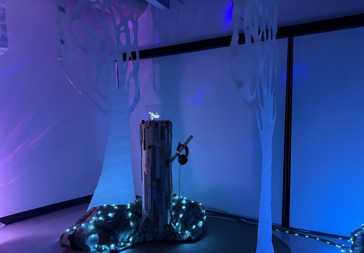 A peek inside the If These Trees Could Talk installation on the third floor of Owen Hall, UNCA.