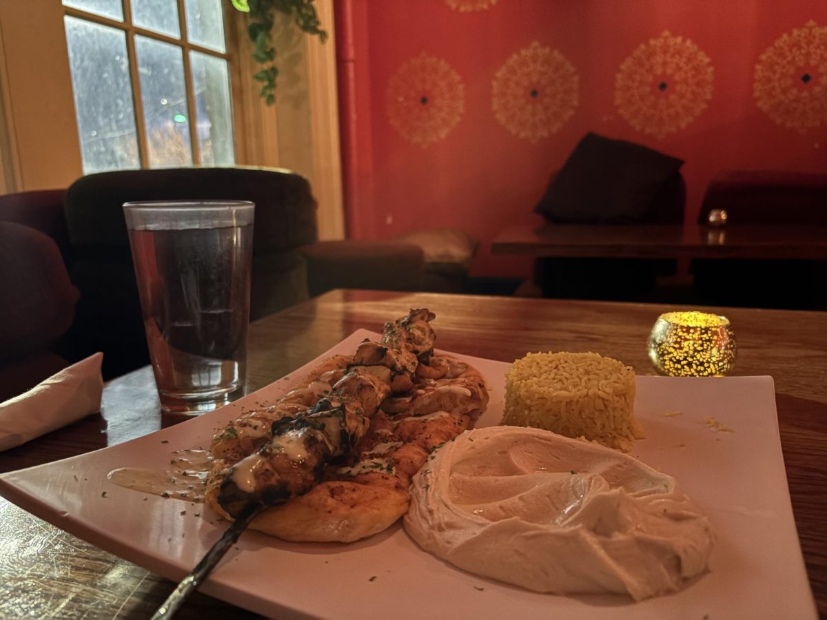The chicken kabob at Jerusalem Garden Cafe captivated us despite our more striking surroundings.