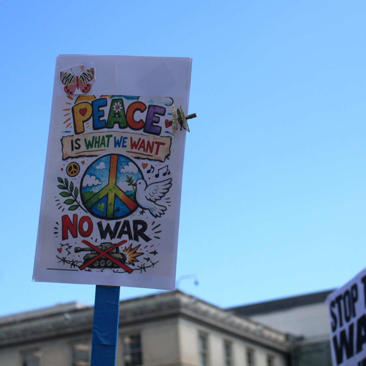 ‘Peace is what we want, no war’ picket sign at anti-war demonstration in Pack Square on March 7