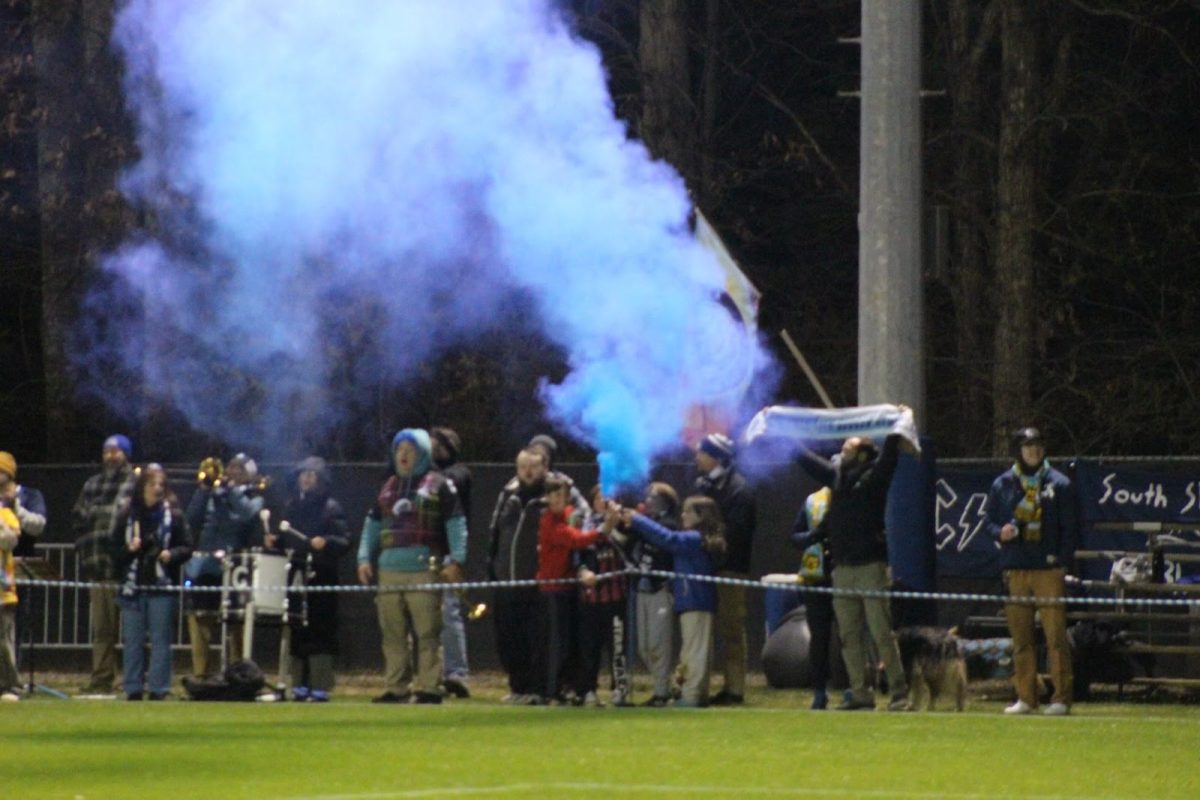 Asheville City fans cheering on the home team.